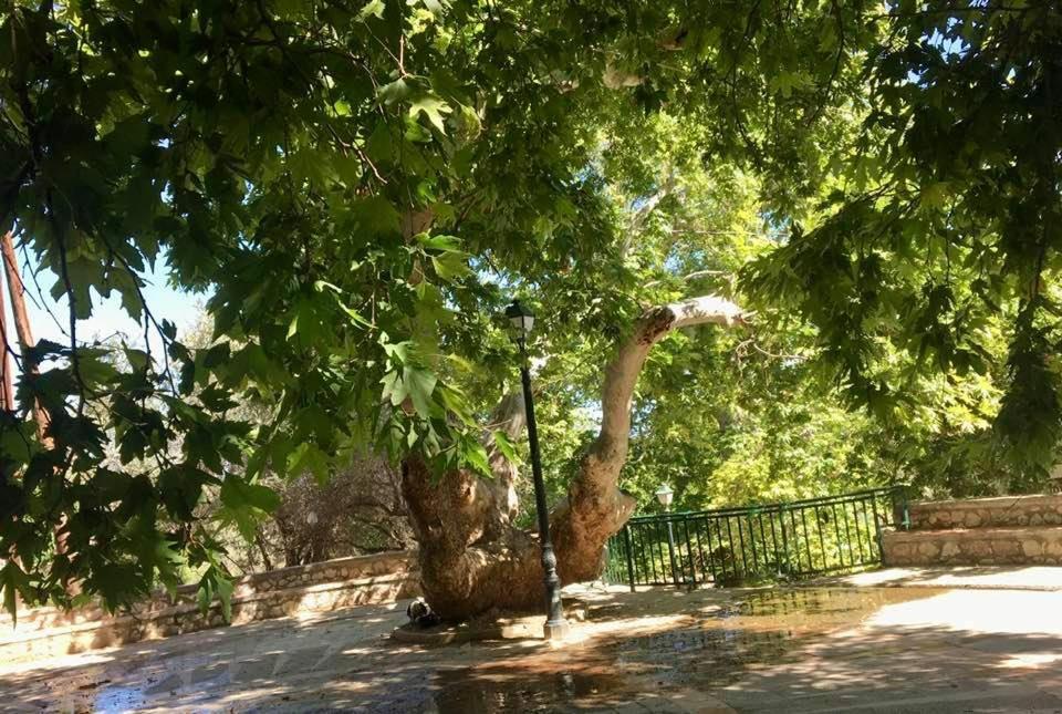 Ioli'S Apartments Αρχάγγελος Εξωτερικό φωτογραφία