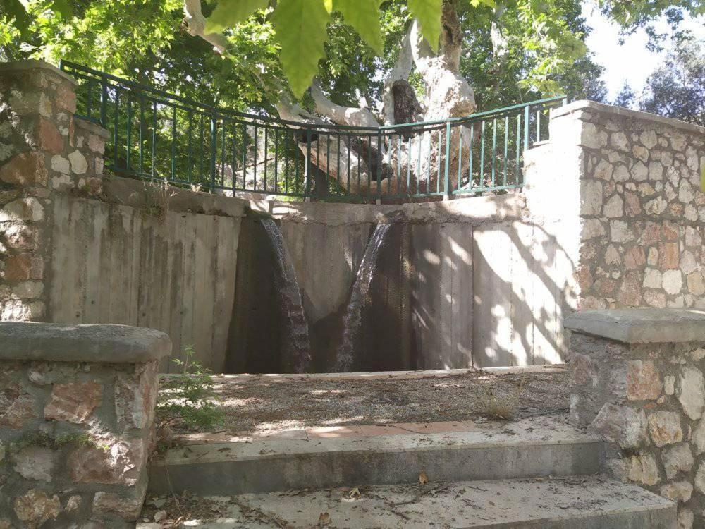 Ioli'S Apartments Αρχάγγελος Εξωτερικό φωτογραφία