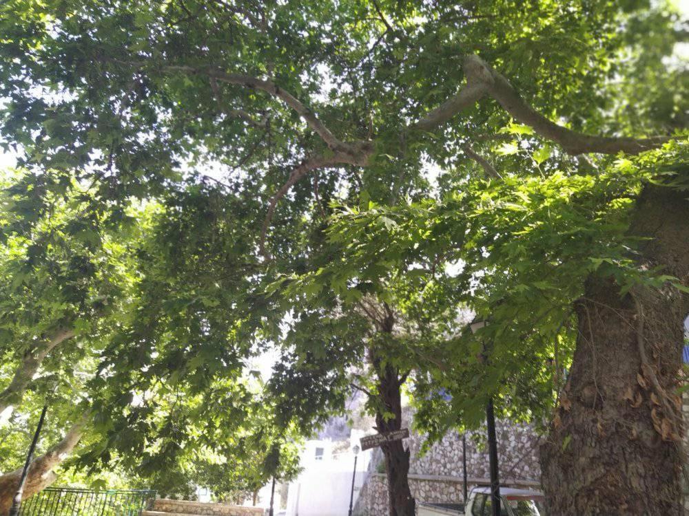 Ioli'S Apartments Αρχάγγελος Εξωτερικό φωτογραφία